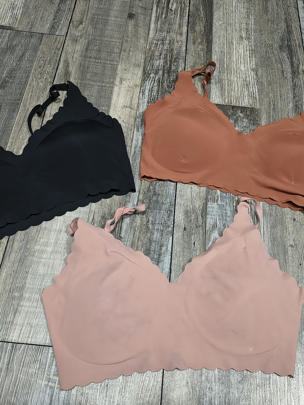 Seamless Scallop Edge Wireless Bralette - Black, Rust, Blush